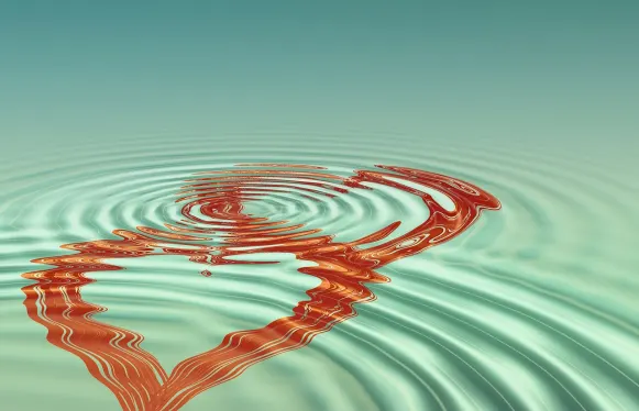 Rokubet Casino Suporte